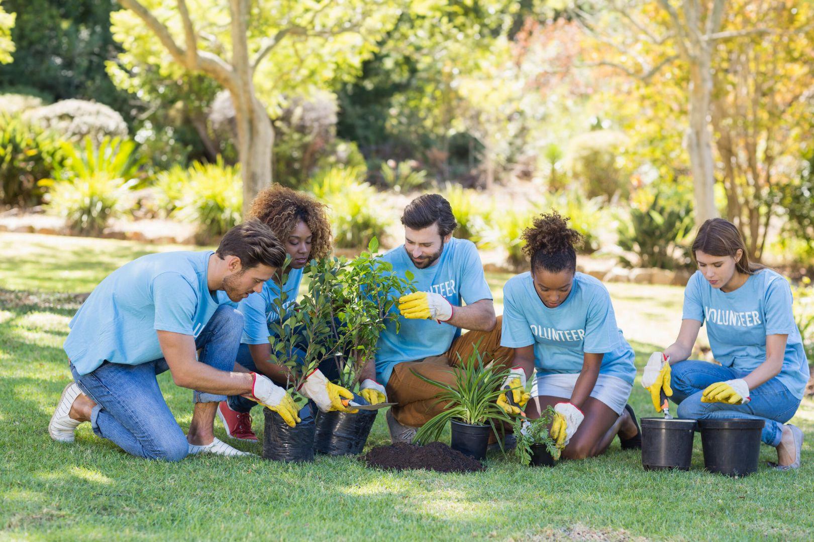 disability respite perth